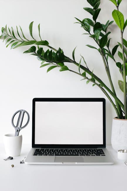 Workplace with modern opened netbook with blank screen placed on white desk with stationery and green potted plant